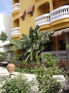 Jardin de l'hôtel à Dakar